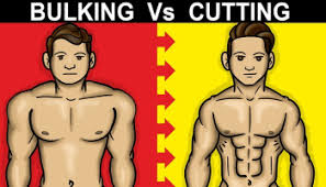 Bulking vs. Cutting: Which One Should You Focus On?