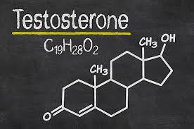 Testosterone Levels in Teens vs. Adults vs. the Elderly
